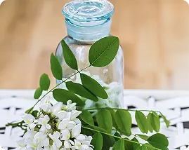 Attar Fragrance - Musk Based